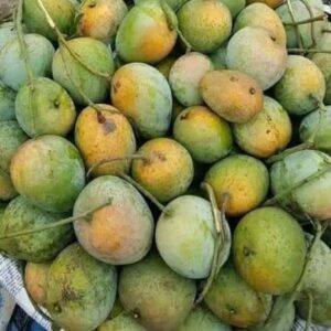 Gopalbhog (গোপালভোগ) - 24 KG