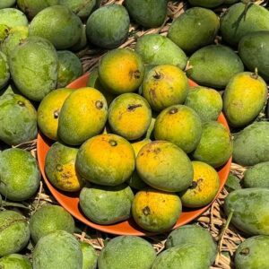 Gopalbhog (গোপালভোগ) - 12 KG