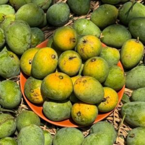 Himsagor ( হিমসাগর) - 24 KG
