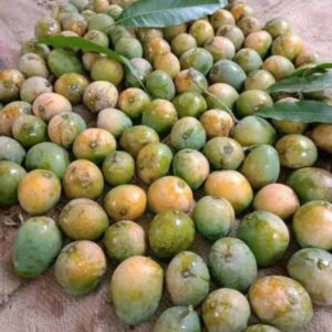 Himsagor ( হিমসাগর)
