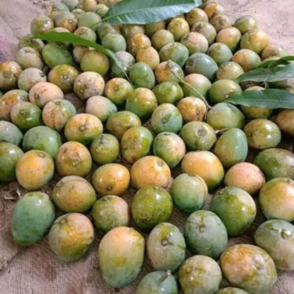 Langra (ল্যাংড়া)